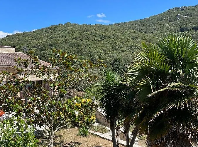 Villa Campana - *